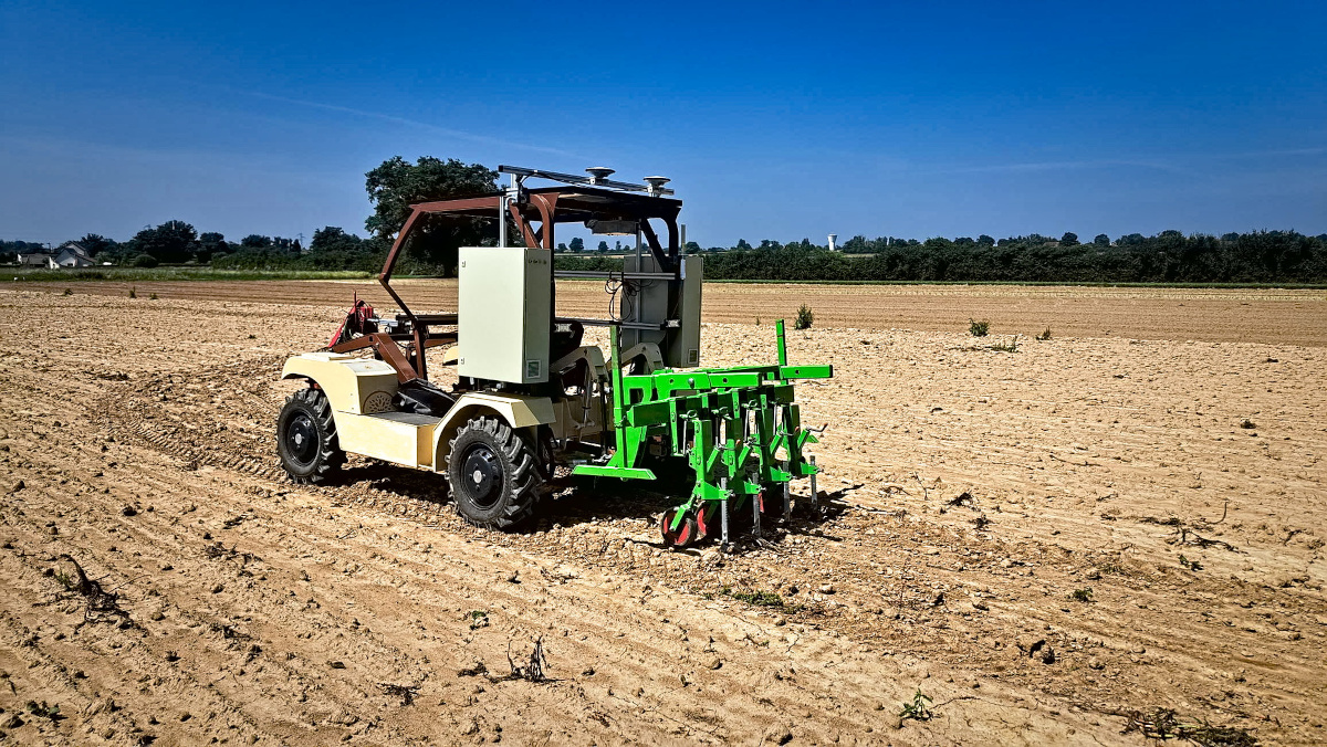 robot in field