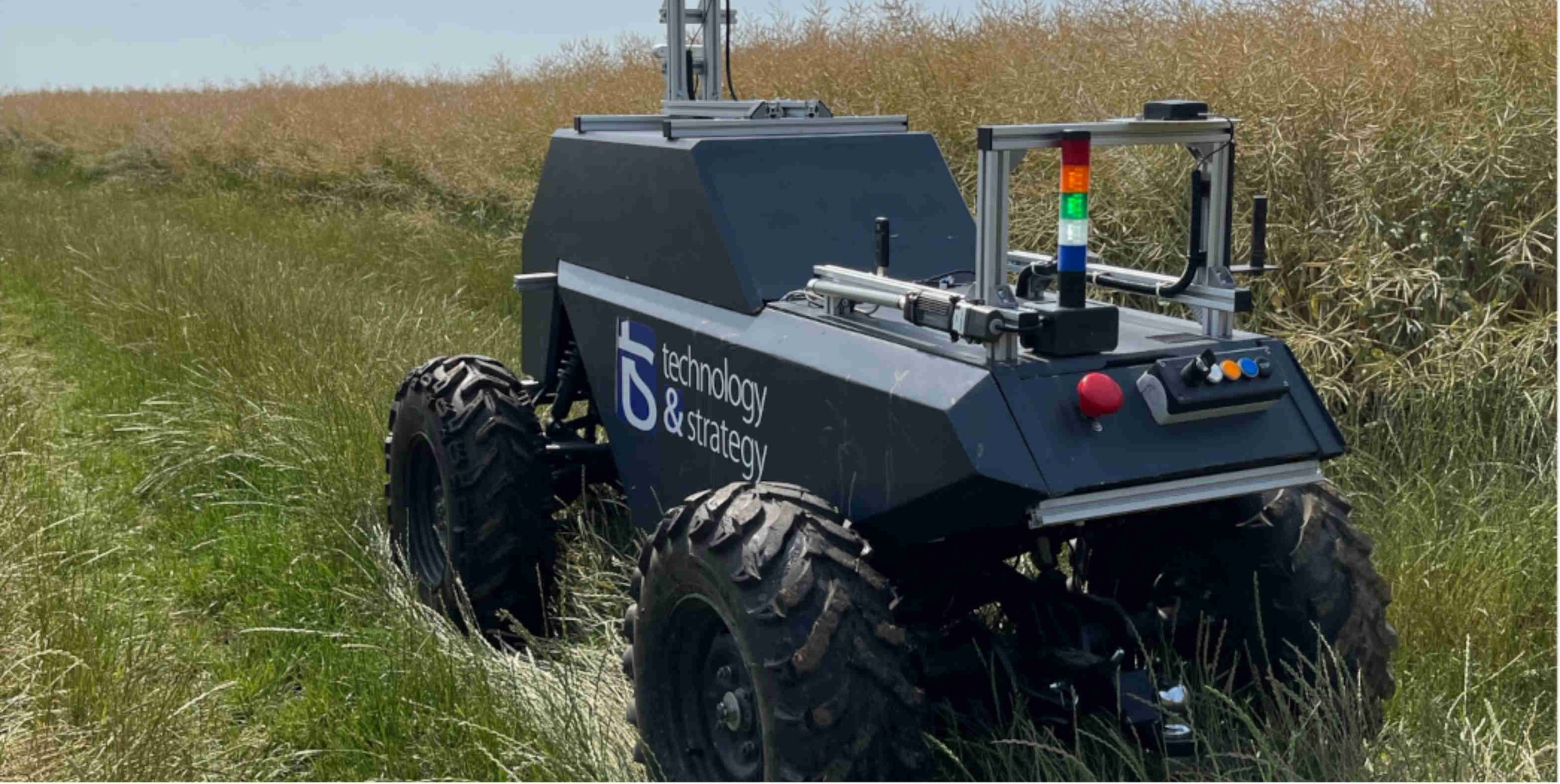Robot in vegetation