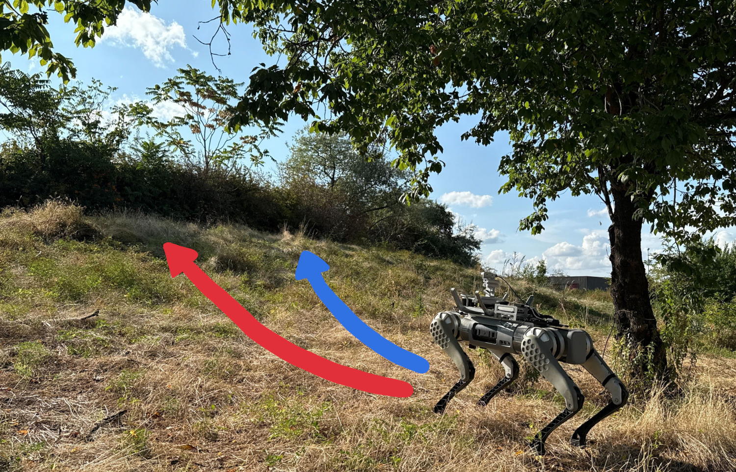 robot on slopes